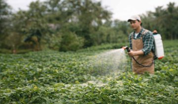 Pesticides and Fertilizers: Understanding Their Role in Modern Agriculture