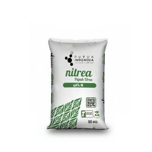 Urea